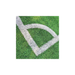 Traceur de ligne sur terrain de foot - marquage au sol - peinture temporaire - 3 à 6 mois - 2 coloris
